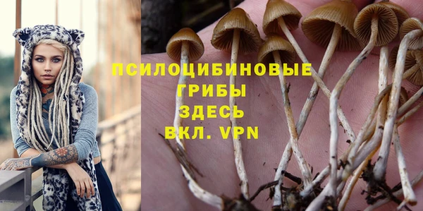 гидропоника Абдулино