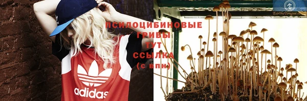 стафф Ростов