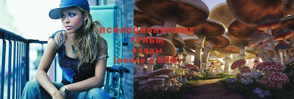 гидропоника Абдулино